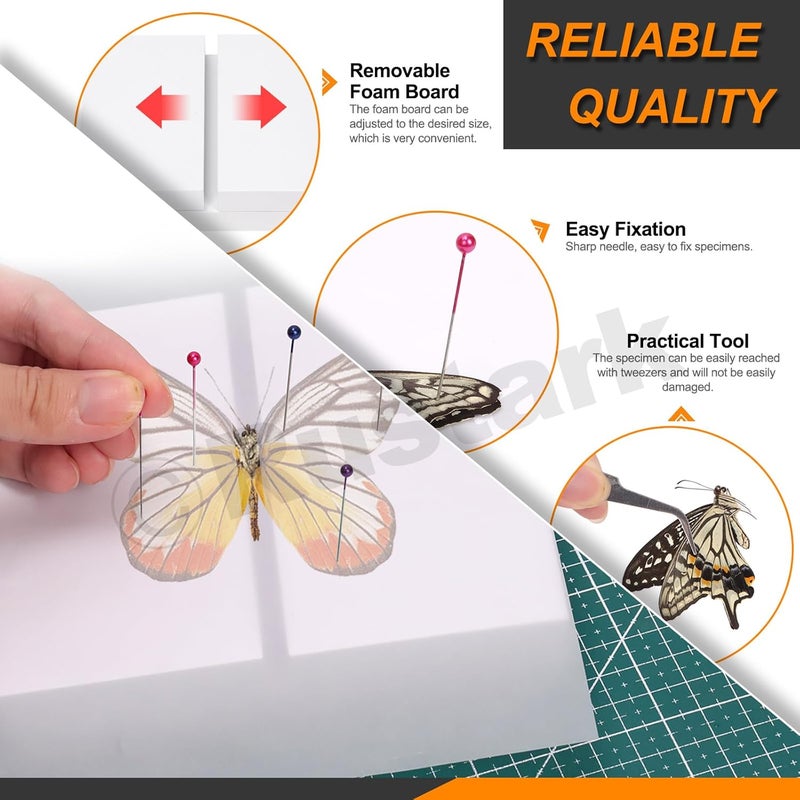 Rustark 15Pcs Making Insect Specimen Tools Kit Insect Pinning Kit with Insect Pins Wings Pressing Paper Insect Pinning Board Insect Display Case Entomology Supplies for Bugs Collection Science - Image 4